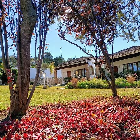 Villa Tottam Art & Healthy Garden Málaga Exterior foto